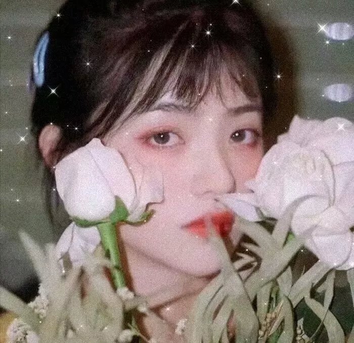出墙花